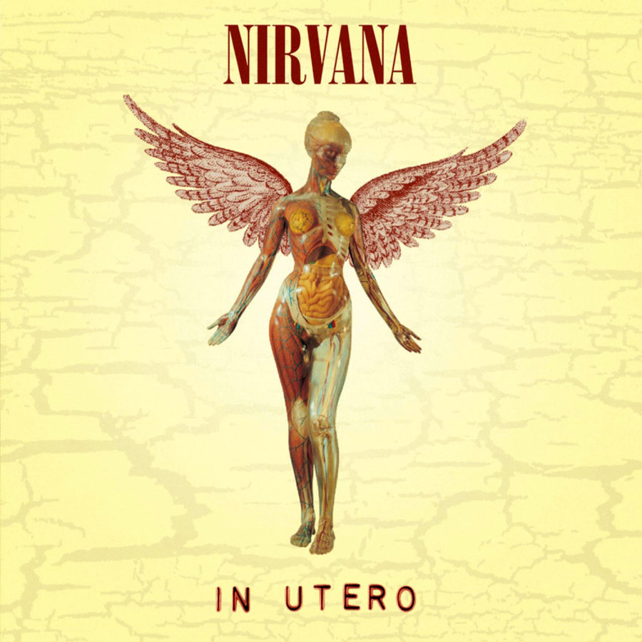 nirvana in utero cover image