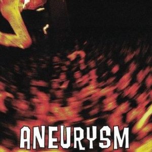 Nirvana Aneurysm CD Album